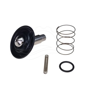 Kit de réparation électrovanne Bürkert 6213 0-10bar DN13 FKM VA DC