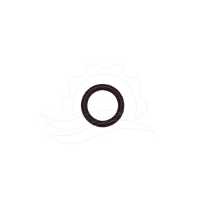 O-ring logement de buse à mousse R+M/Easywash FKM