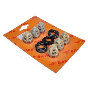 Clapets pompe Hawk NMT CW (1.905-543.0)