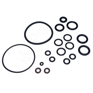 Kit de joints d'étanchéité pompe doseuse Seko Tekna Evo APG