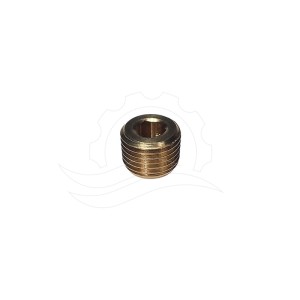 Bouchon de régulateur de pression G1/4''