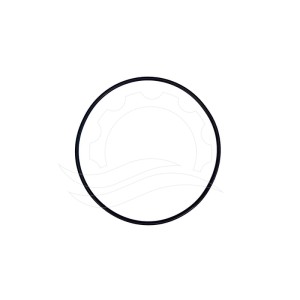 O-ring carter pompe Hawk NMT CW/HT (25)
