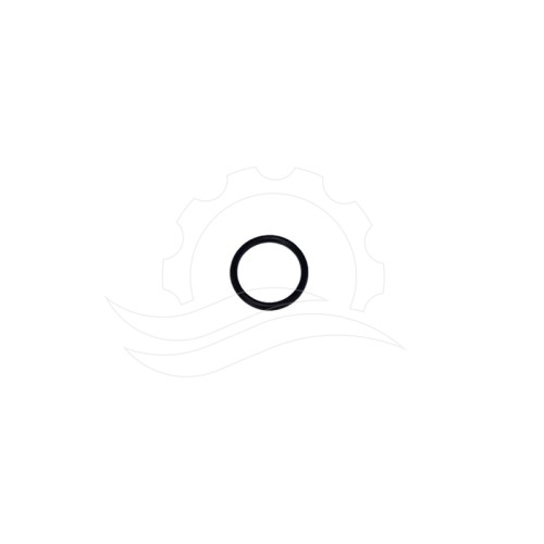 O-ring zaworu pompy Hawk NHD/NHDP (11)
