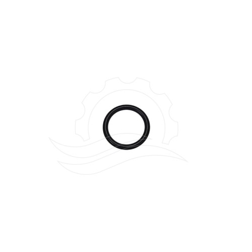 O-ring korka głowicy pompy Hawk HD/NHD/NHDP