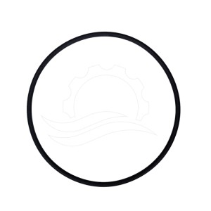 O-ring couvercle doseur Dosatron D25RE2 (J042)