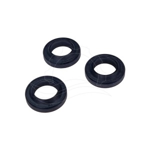 Joints d'huile pompe Interpump (Kit 271)